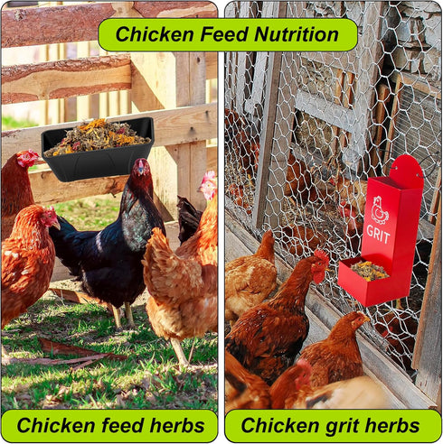 21 Oz Chicken Nesting Herbs Flowers Premixed Dried Poultry Herbs Natural Nesting Box Pads Roost House Lime Feed Grit