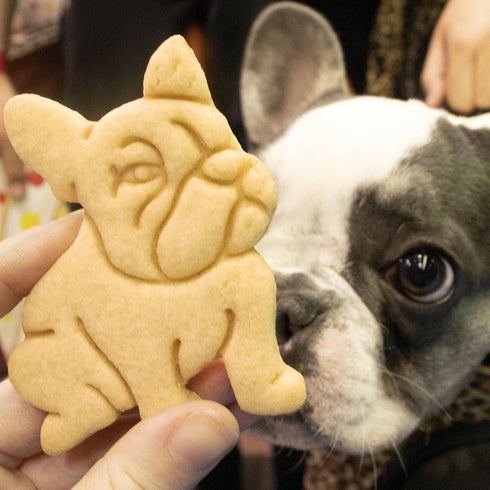 Set of 2 French Bulldog Cookie Cutters, Body & Face Designs, 2 Pieces by Bakerlogy