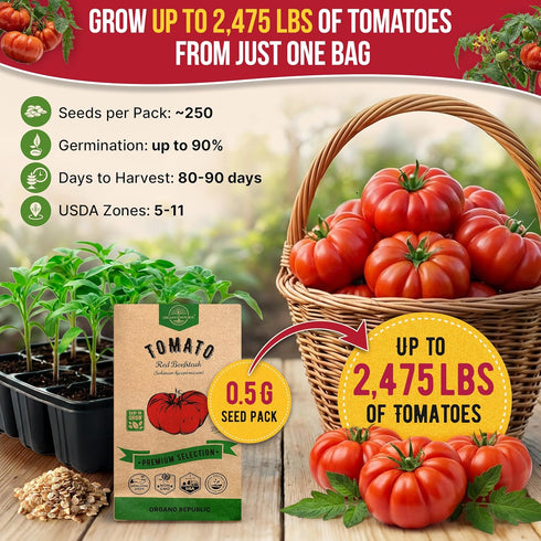 Pack 0.5 250 Packet, Red Beefsteak Tomato Seeds G - Over Non-GMO Heirloom Tomato Seeds for Planting Vegetables