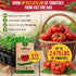 Pack 0.5 250 Packet, Red Beefsteak Tomato Seeds G - Over Non-GMO Heirloom Tomato Seeds for Planting Vegetables
