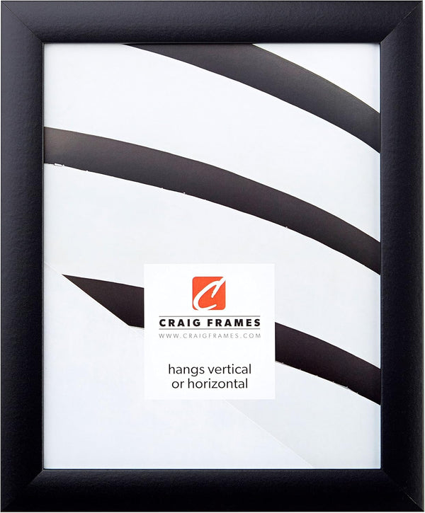 Craig Frames 1WB3BK Picture Frame, 19 by 25-Inch, Black, Smooth Wrap Finish