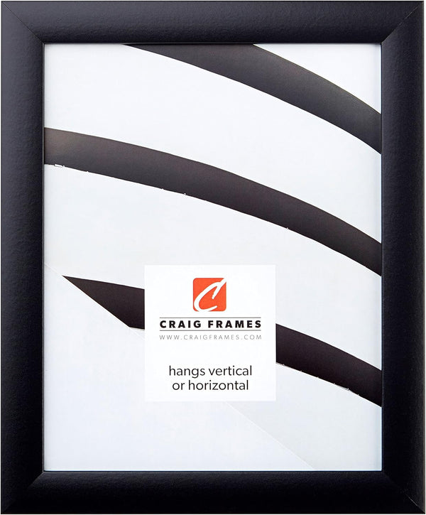 Craig Frames 1WB3BK Picture Frame, 14 by 20-Inch, Smooth Wrap Finish, 1-Inch Wide, Black
