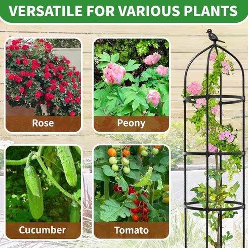 6.7FT Plants,81Metal Garden Obelisk Trellis for Climbing Plant Support Tower,Heavy Duty Thickened Tube,Rustproof Black