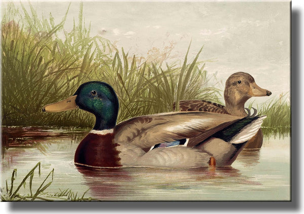 Ducks Vintage Picture on Stretched Canvas Wall Art Decor, Ready to Hang!