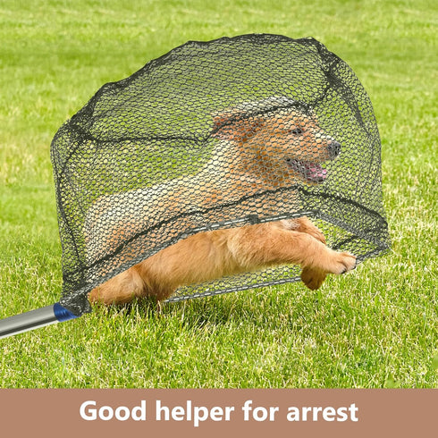 Aoiaute 2 29-74 inches (2 1 Chicken Catching Net Pcs,Adjustable from Chicken Net, Suitable for Catching Outdoor Animals