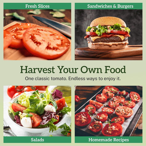 75+ TKE Farms & Gardens - Beefsteak Tomato Seeds for Planting, Heirloom Non-GMO Variety, Grow Large Juicy Slicing
