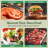 75+ TKE Farms & Gardens - Beefsteak Tomato Seeds for Planting, Heirloom Non-GMO Variety, Grow Large Juicy Slicing