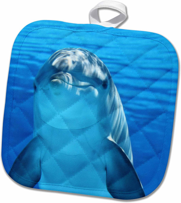 3D Rose Blue Dolphin in The Sea Life Pot Holder, 8 x 8