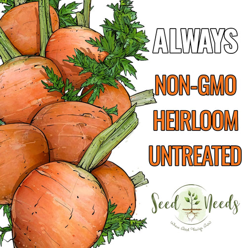 (1 Pack) Seed Needs Carrot Seeds for Planting Paris Market Carrots - Non-GMO Heirloom & Untreated Annual Cool Weather