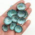 PEPPERLONELY 50PC Green Limpet Shells, Craft Sea Shells, Sizes 1/2 Inch to 1 Inch