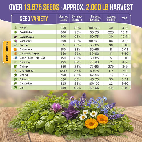 30 Pack 13600+ Organo Republic Medicinal Tea Herb & Flower Seeds Variety - Non-GMO Heirloom Flower Seeds for Outdoor