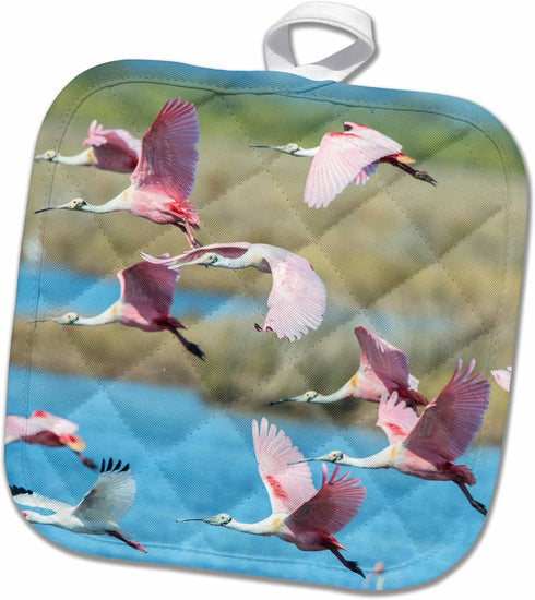 3D Rose USA-Florida-Merritt Island NWR Roseate Spoonbills Pot Holder, 8 x 8
