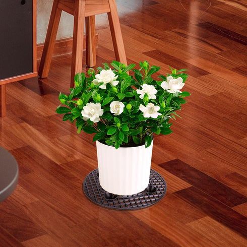 LFUTARI 6 12inch (30cm-6pcs, PCS Plant Level Pot Elevator, Plant Stands, Plant Pot Saucer for Prevent Rot and Damage on