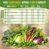 10 Pack 13000+ Organo Republic Lettuce & Salad Greens Seeds Variety Non-GMO Heirloom Lettuce Seeds for Planting Indoors