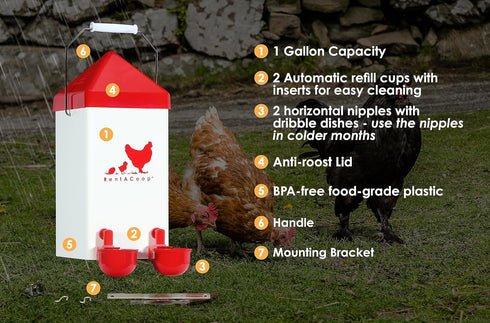 1 2 RentACoop Gallon Chicken Waterer with Auto-Fill Cups, Horizontal Nipples and Anti-Roost Cone - Suitable for Chicks