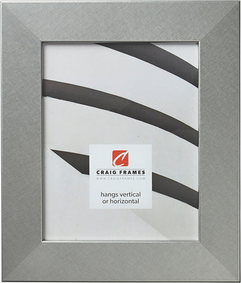 Craig Frames Bauhaus 200 Picture Frame, 8 x 10 Inch, Brushed Silver