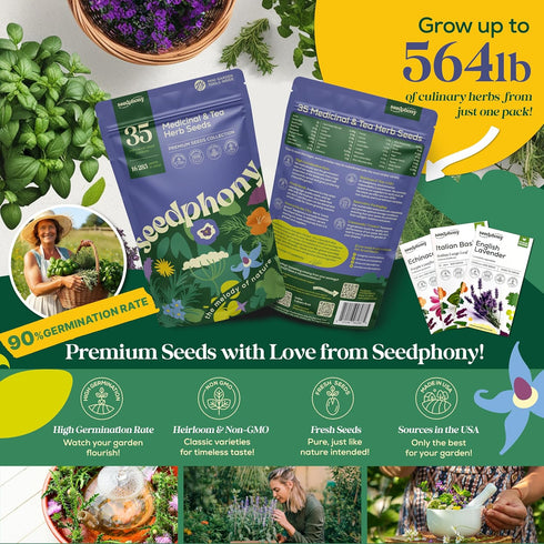 35 Pack 16,285+ Packets Seedphony Medicinal & Tea Herb Seeds Variety - Non-GMO Heirloom Herbs Seeds for Planting Indoor