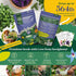 35 Pack 16,285+ Packets Seedphony Medicinal & Tea Herb Seeds Variety - Non-GMO Heirloom Herbs Seeds for Planting Indoor