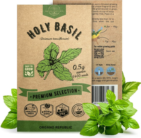 Organo Republic Holy Basil Seeds Pack 0.5 G - Over 1,400 Non-GMO