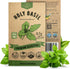 Organo Republic Holy Basil Seeds Pack 0.5 G - Over 1,400 Non-GMO