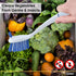 Dish Brush with Handle: Double Sided Vegetable Scrubber, Non Scratch Kitchen Brush for Cooking, Blue/Red, 2 Pack