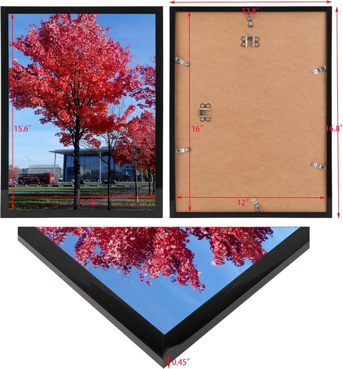 12x16 Picture Frame for Wall, Black, 1 Pack, Display 12x16 Poster, Wall Sign Photo Frames