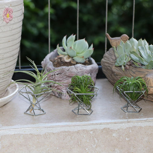 Nwsrayu Himmeli 5pcs) Geometric Air Plant Holder Airplants Rack Metal Plants Stand Planter Shelves Living Decor