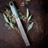 Microplane Premium Classic Zester - Eucalyptus Green | Lemon Zester tool, Hard Cheese & Vegetable Grater | For Citrus