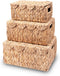LUSYDECO Set of 3 Scalloped Edge Wicker Basket with Lid, Rectangle Wicker