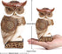 Owl Statue for Home Decor Accents, Shelf Bookshelf Table Office Living Room Decor Owl Figurine, Ideal Gifts for Bird
