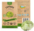 Lettuce Iceberg Seeds Pack 3G - Over 3,100 Non-GMO Heirloom Lettuce Seeds