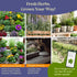 35 Pack 16,285+ Packets Seedphony Medicinal & Tea Herb Seeds Variety - Non-GMO Heirloom Herbs Seeds for Planting Indoor