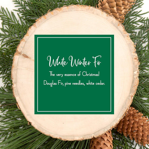 Scentsicles Scented Christmas Ornaments, All Natural Holiday Air Freshener, White Winter Fir