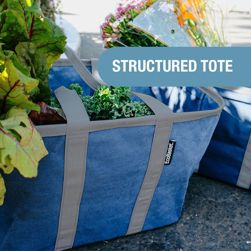 CleverMade 30L 3 Pack 30 lb EcoBasket Collapsible Tote Basket Reusable Grocery Tote That Stands Upright, Foldable