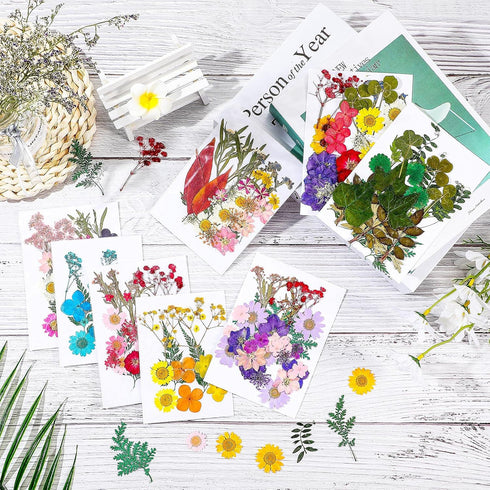 Nuanchu 200 Pcs Dried Pressed Flowers for Crafts, Natural Real Leaves Bulk for DIY Art Jewelry Making