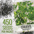 (1 Pack) Seed Needs Chervil Seeds for Planting - Non-GMO, Heirloom & Untreated Annual Herbs - Grow an Indoor/Outdoor