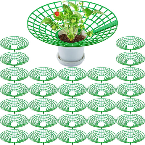 30 Packs Strawberry Supports Strawberry Growing Frame Strawberry Plant Support Plant Protectors