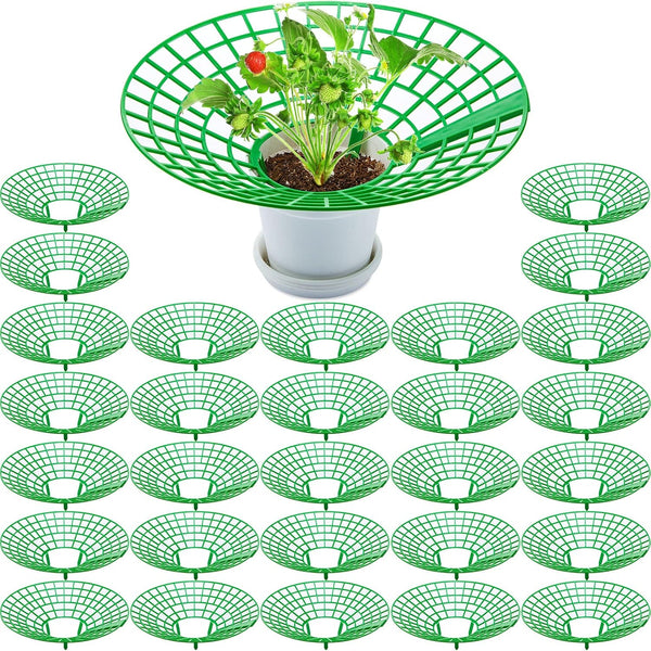 30 Packs Strawberry Supports Strawberry Growing Frame Strawberry Plant Support Plant Protectors