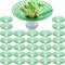 30 Packs Strawberry Supports Strawberry Growing Frame Strawberry Plant Support Plant Protectors