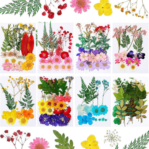 Nuanchu 200 Pcs Dried Pressed Flowers for Crafts, Natural Real Leaves Bulk for DIY Art Jewelry Making