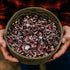 8oz (~200 Christmas Speckled Lima Bean - Bulk Seeds) - Heirloom Butter Bean Variety, USA-Grown, Non-GMO Butterbean