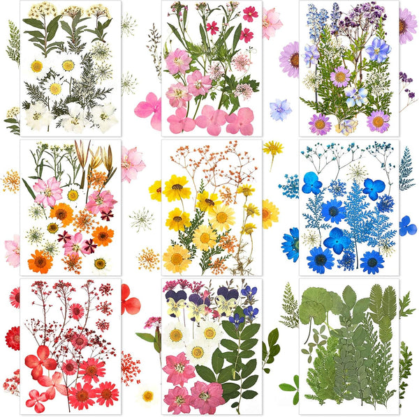 Nuanchu 167 Pcs Real Dried Pressed Flowers, Colorful Daisy Mixed Wildflowers for DIY Candle Resin Crafts