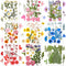 Nuanchu 167 Pcs Real Dried Pressed Flowers, Colorful Daisy Mixed Wildflowers for DIY Candle Resin Crafts