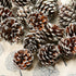 Cooraby 24 Pieces Christmas Pine Cones Ornament, Natural with String for Tree Decoration (Snow)