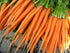 1.5g 91% Gaea's Blessing Seeds - Carrot Seeds - Tendersweet - Non-GMO Seeds with Easy to Follow Planting Instructions