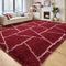 Area Rugs for Living Room Bedroom, Washable Non-Slip 5x7 Feet Red White
