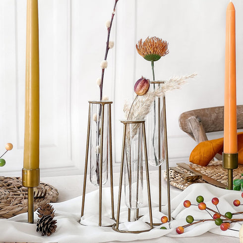 3 Propagation Station Terrariums with Gold Metal Stand - Kate Aspen Glass Test Tube Planters for Indoor Plant, Air
