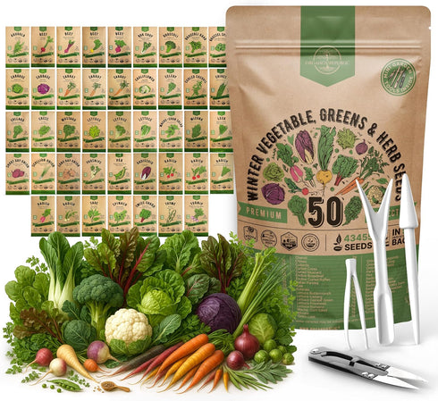 50 Winter Vegetable Garden Seeds Variety Pack - 43,450+ Non-GMO Heirloom Seeds