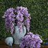 Vickerman Everyday Artificial Lavender Wisteria Bush - 19" Long - Sophisticated Faux Flowers with Lifelike Appearance