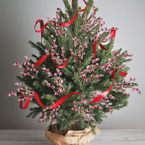 12 Pack 11.8inch Whaline Christmas Artificial Berry Picks Xmas Winter Frosted Red Berry Stems Fake Snowy Red Berry
